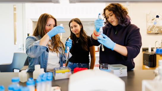 Three students conducting an experiment with pipettes and other equipment.