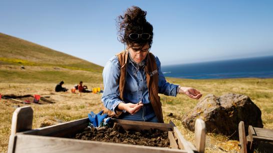 A student archaeologist sifting through a shaker screen on the bluffs overlooking the ocean.
