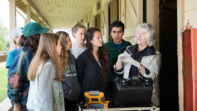 Animal Science students learning at the Equine Center