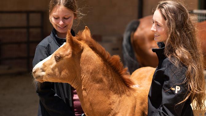 Animal Science students with foal