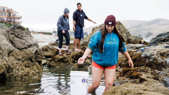 Students explore tide pools and conduct a clam survey.