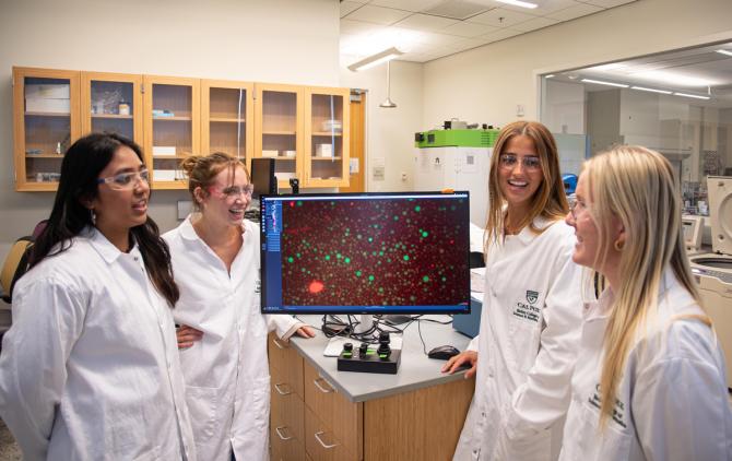 Four students gather around a model on a screen in a lab.
